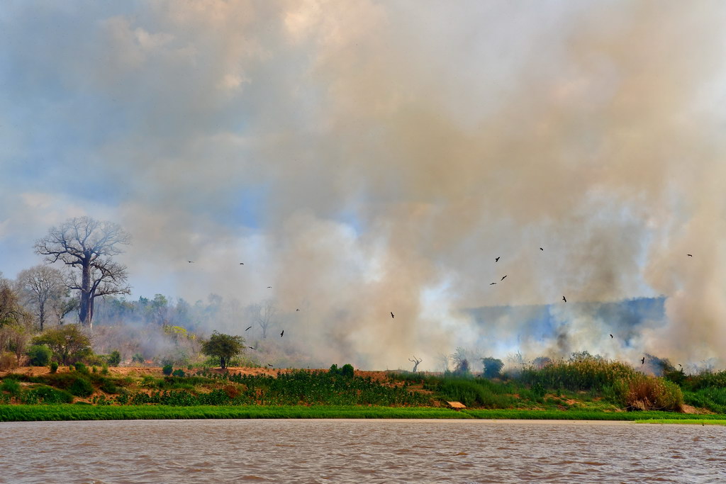 Slash-and-Burn